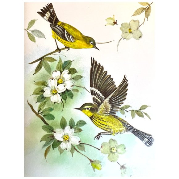 Vtg GREETING CARDS "Winged Beauties" Watercolor Birds Embossed Full Set Ephemera - Picture 9 of 15